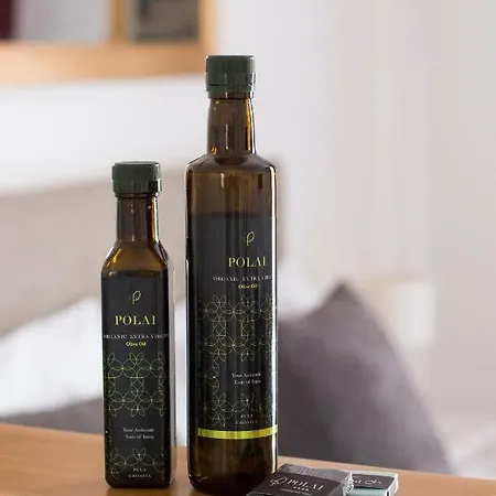 Polai Boutique With Free Parking Пула